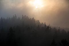 Waldstein - Zum Vergroessern klicken!